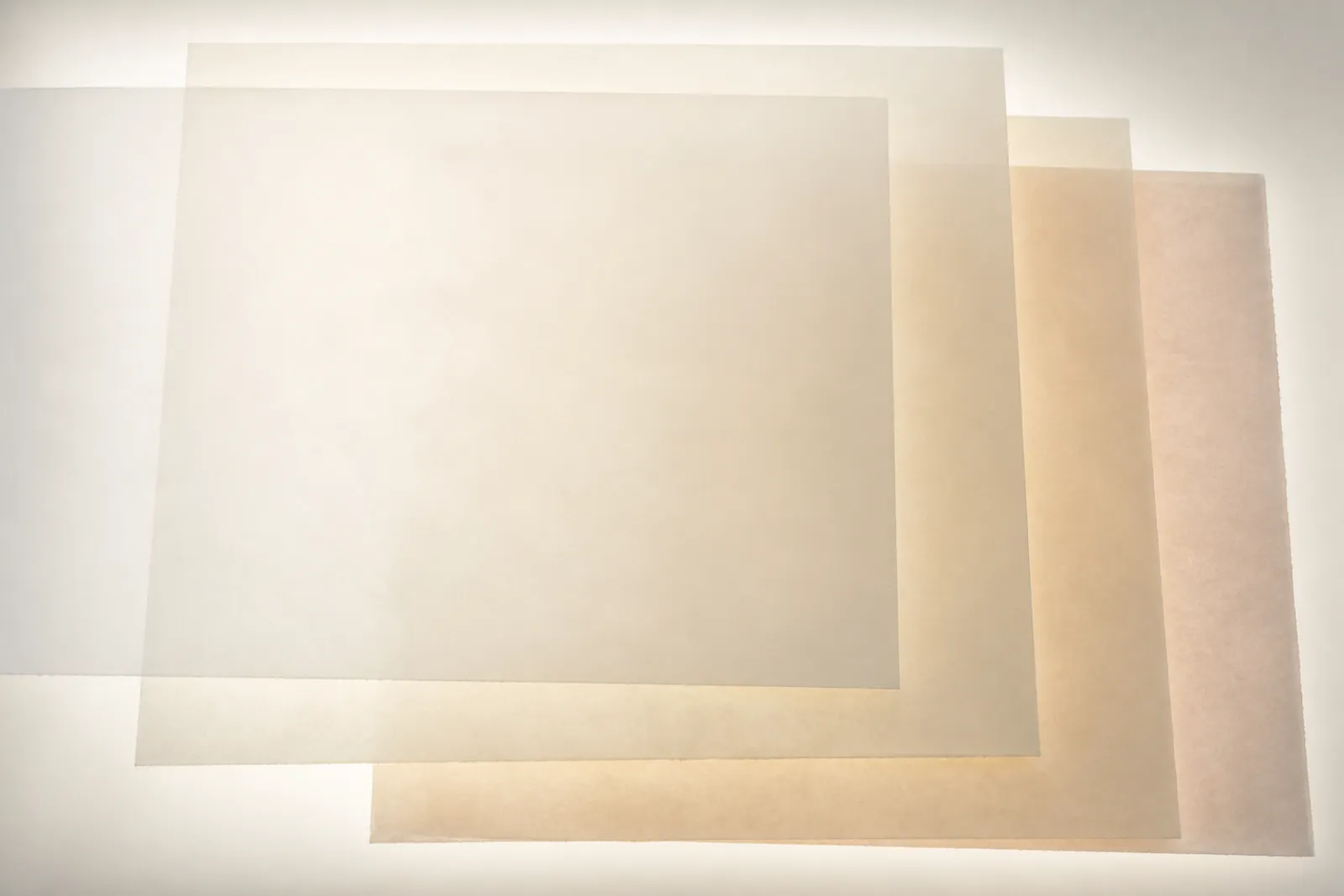 Four translucent sheets stacked and offset on a light table. Editorial photograph for this article; not a screenshot of any removal tool.
